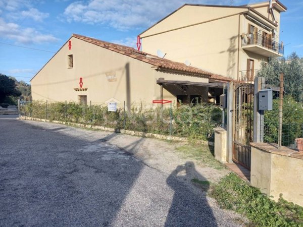 casa indipendente in vendita a Badolato