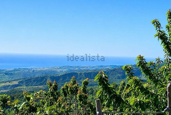 casa indipendente in vendita a Badolato