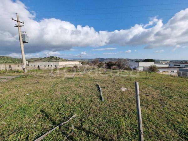 terreno agricolo in vendita a Borgia