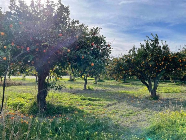 terreno edificabile in vendita a Borgia