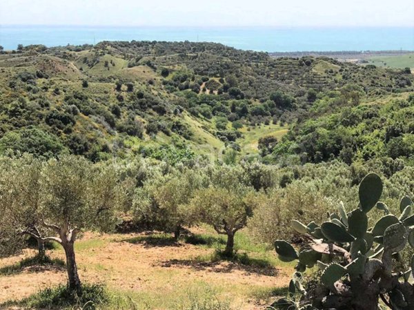 terreno agricolo in vendita a Borgia