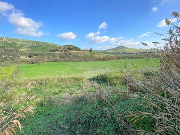 terreno agricolo in vendita a Borgia