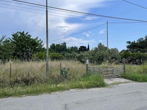 terreno agricolo in vendita a Borgia