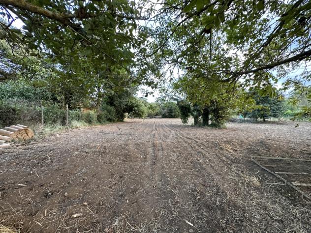 terreno agricolo in vendita a Borgia
