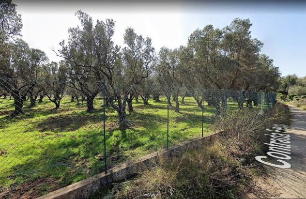 terreno agricolo in vendita a Borgia