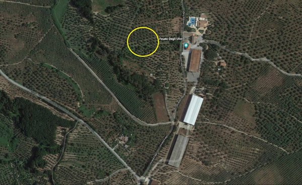 terreno agricolo in vendita a Borgia