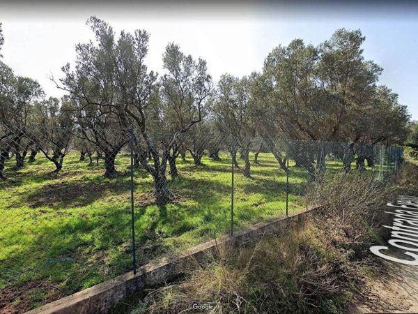 terreno agricolo in vendita a Borgia