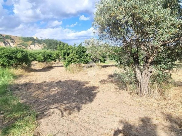 terreno agricolo in vendita a Borgia