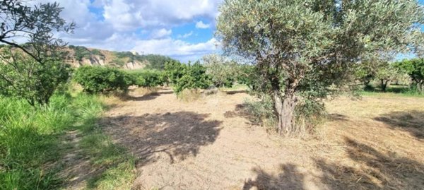 casa indipendente in vendita a Borgia