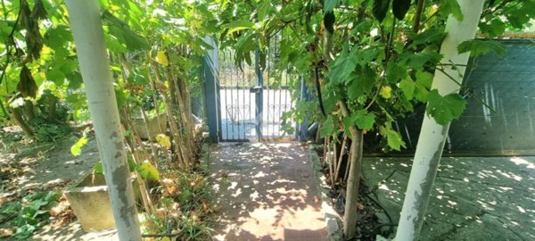 casa indipendente in vendita a Borgia