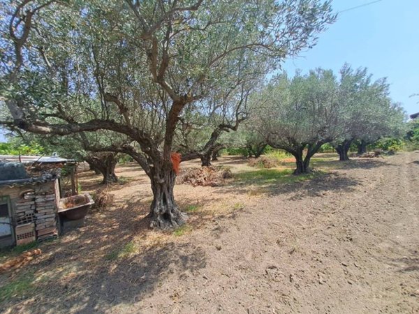 casa indipendente in vendita a Borgia