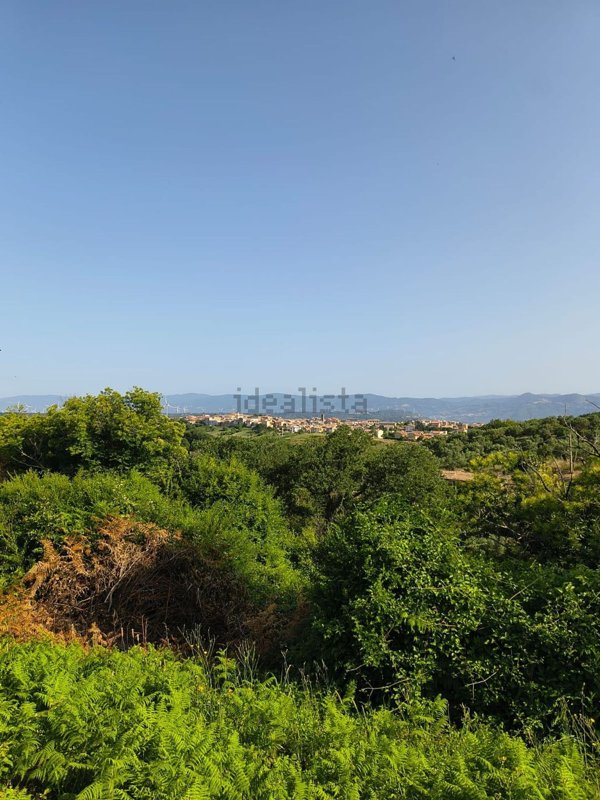 casa indipendente in vendita a Borgia