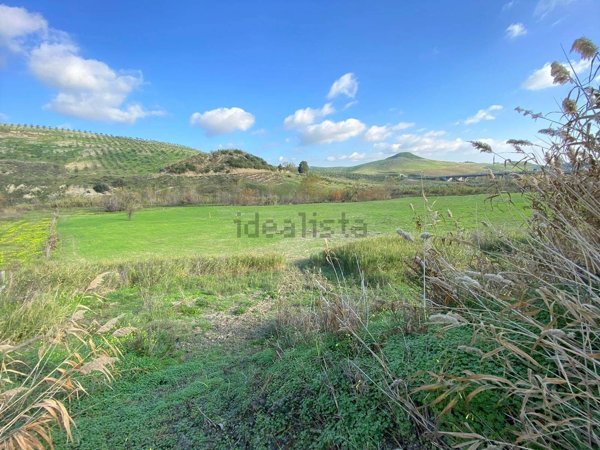 terreno in vendita a Borgia
