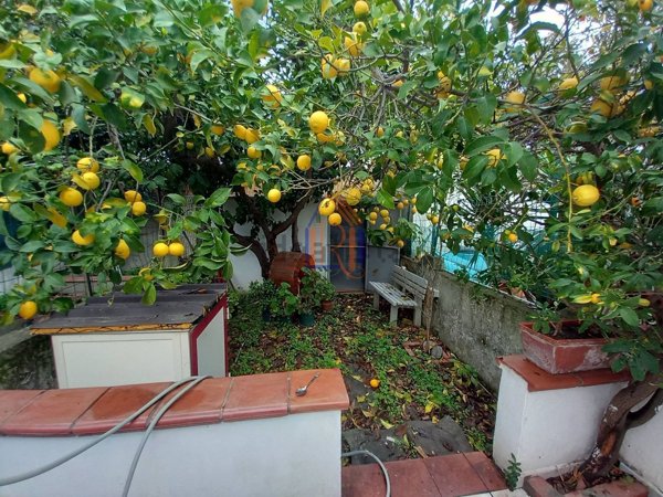 casa indipendente in vendita a Borgia