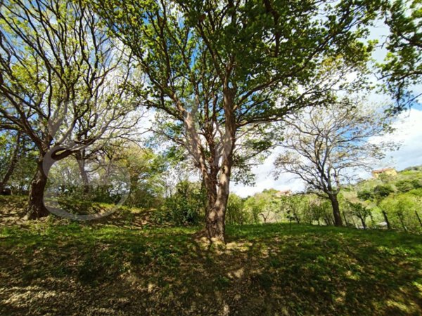casa indipendente in vendita a Borgia