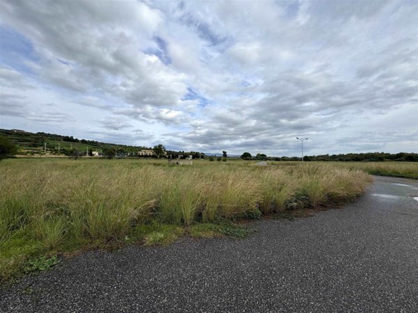 terreno agricolo in vendita a Borgia