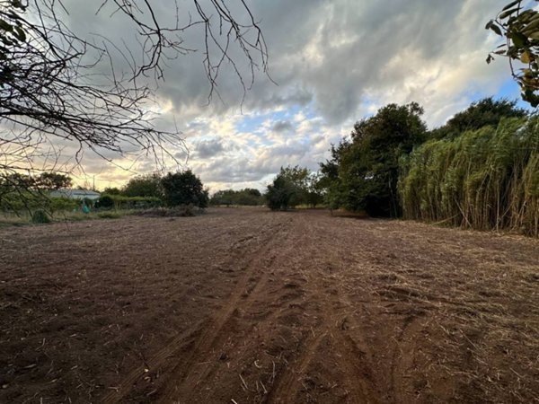 terreno agricolo in vendita a Borgia