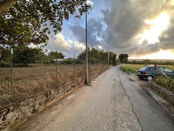 terreno agricolo in vendita a Borgia