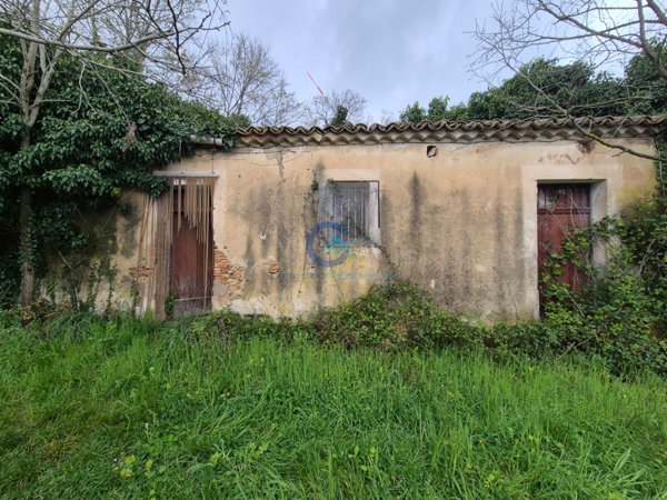 appartamento in vendita a Borgia