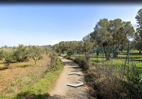 terreno edificabile in vendita a Borgia