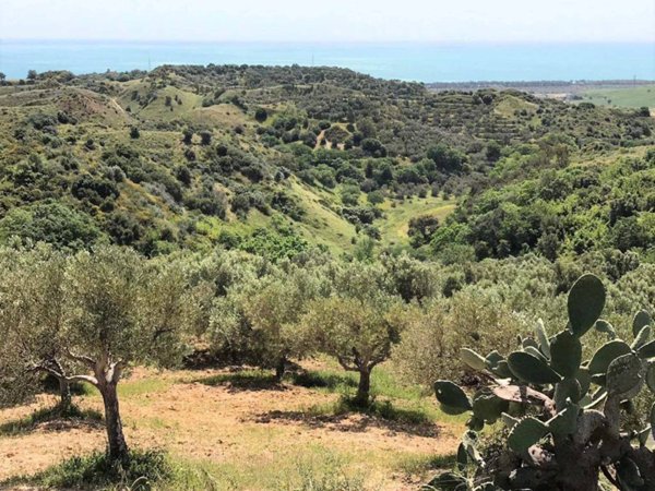 terreno agricolo in vendita a Borgia