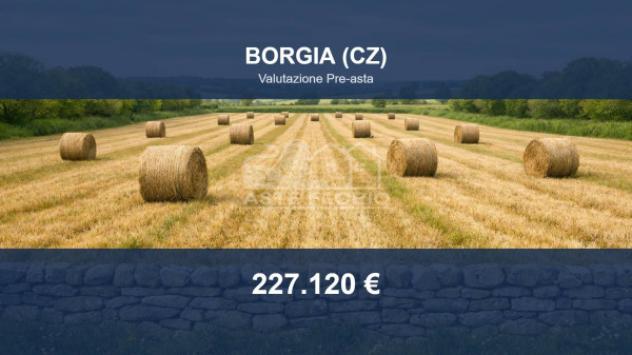 negozio in vendita a Borgia