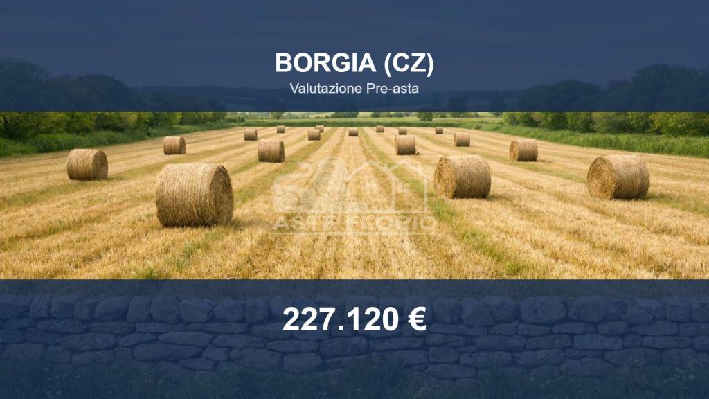negozio in vendita a Borgia