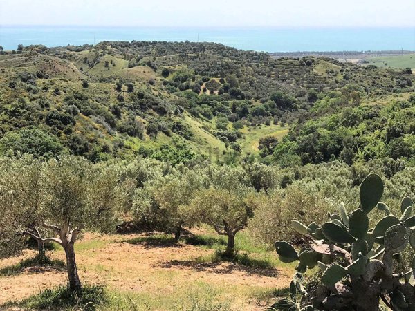 terreno agricolo in vendita a Borgia