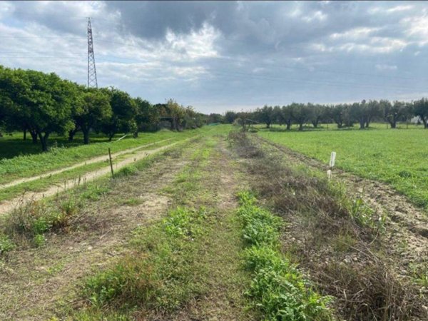 terreno agricolo in vendita a Borgia