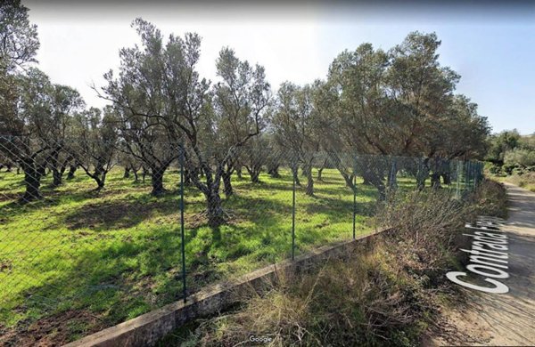 terreno agricolo in vendita a Borgia