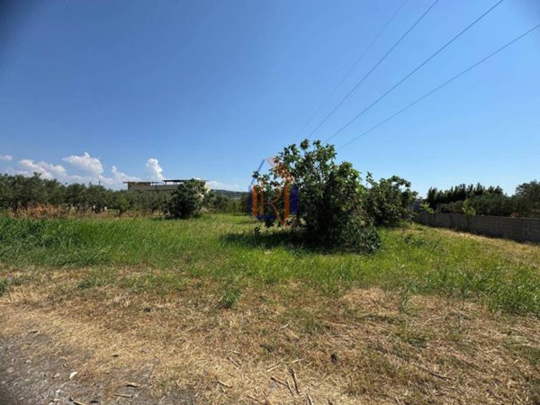 terreno agricolo in vendita a Borgia