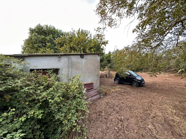 terreno agricolo in vendita a Borgia