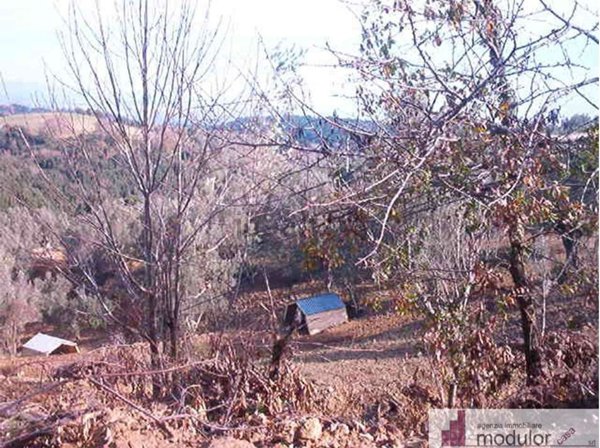 terreno in vendita a Borgia