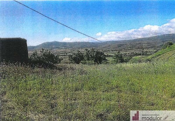 terreno in vendita a Borgia