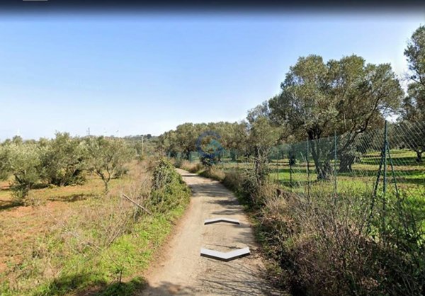 terreno in vendita a Borgia