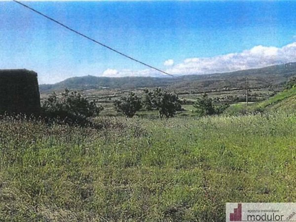 terreno in vendita a Borgia