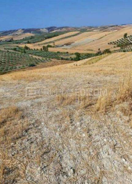 monolocale in vendita a Botricello