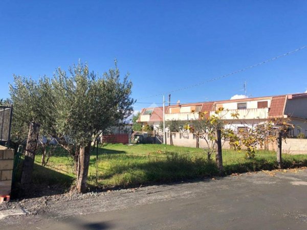 terreno agricolo in vendita a Botricello