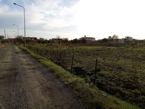 negozio in vendita a Botricello