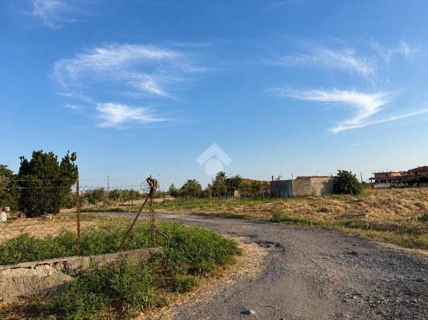 terreno agricolo in vendita a Botricello