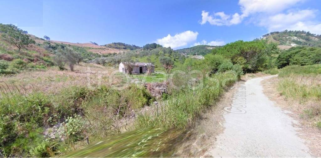 terreno agricolo in vendita a Caraffa di Catanzaro