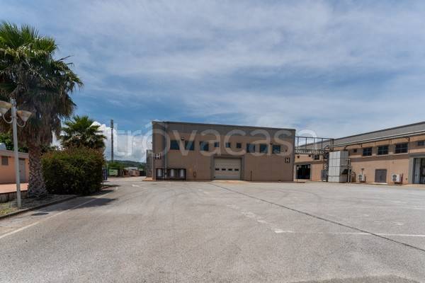 locale commerciale in vendita a Caraffa di Catanzaro