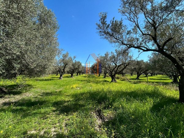 appartamento in vendita a Caraffa di Catanzaro