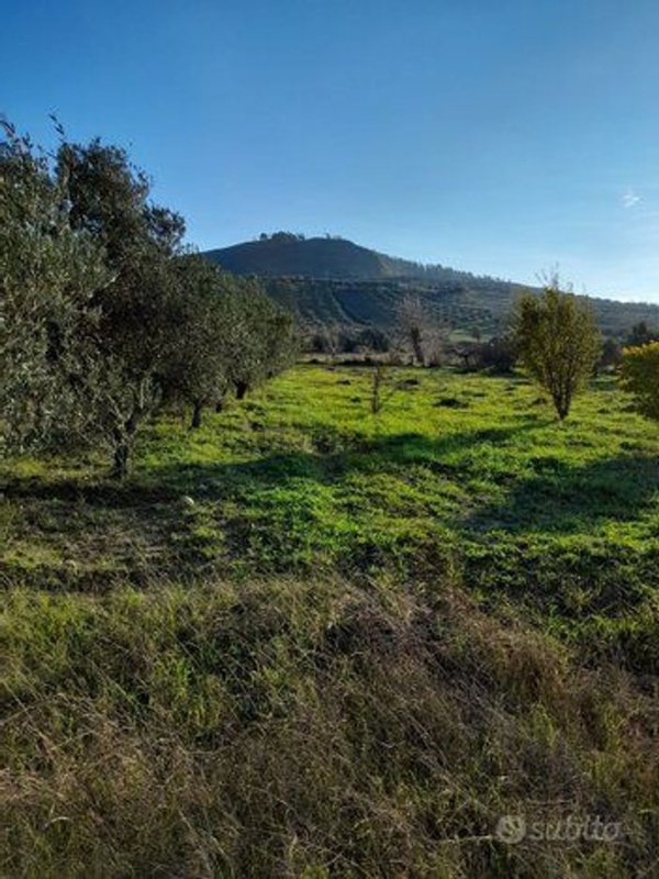 terreno agricolo in vendita a Caraffa di Catanzaro