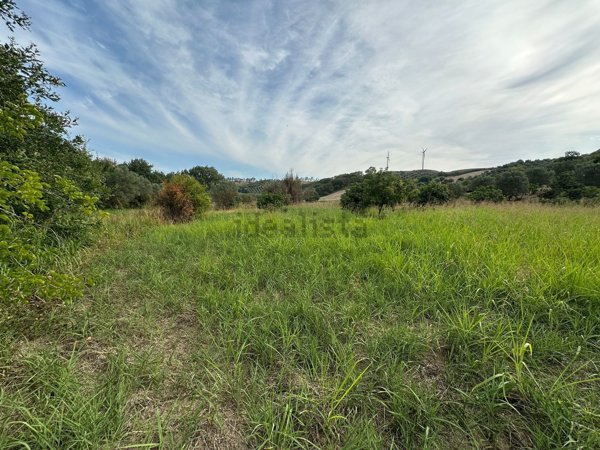 terreno agricolo in vendita a Caraffa di Catanzaro