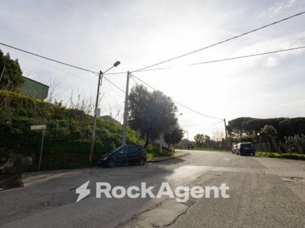 negozio in vendita a Caraffa di Catanzaro