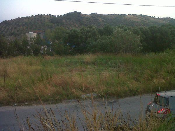 terreno agricolo in vendita a Catanzaro in zona Barone