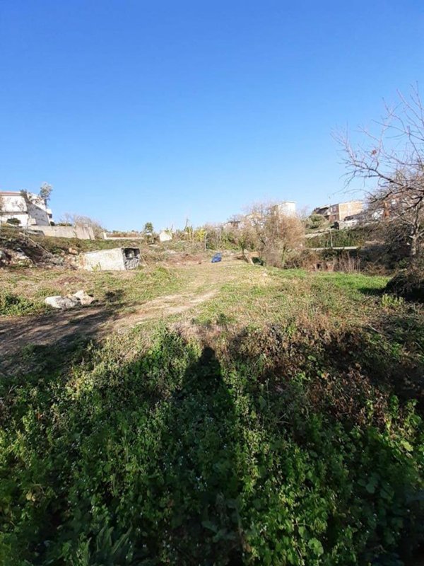 terreno agricolo in vendita a Catanzaro in zona Gagliano