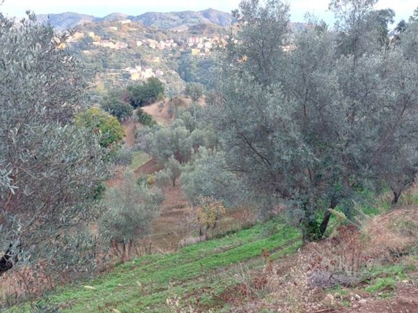 terreno agricolo in vendita a Catanzaro in zona Gagliano