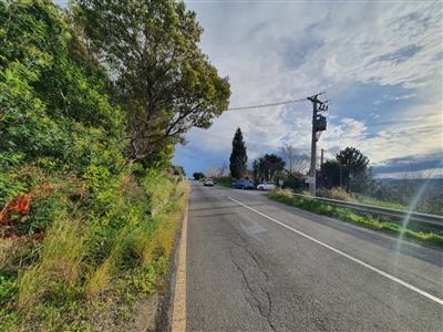 terreno agricolo in vendita a Catanzaro in zona Germaneto